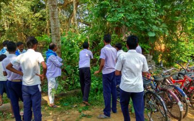 Jagatsinghpur samithi of Jagatsinghpur district (Odisha) does Seva