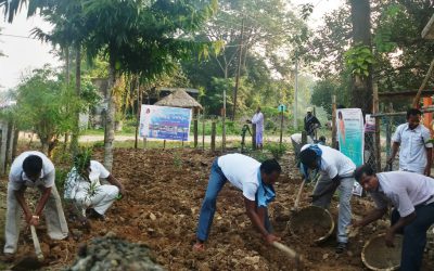 Naguan samithi of Bhadrak1 district (Odisha) does Seva