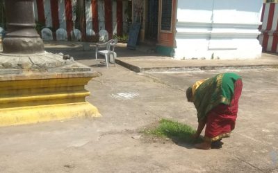 Chodavaram samithi of Visakhapatnam district (Andhra Pradesh) does Seva