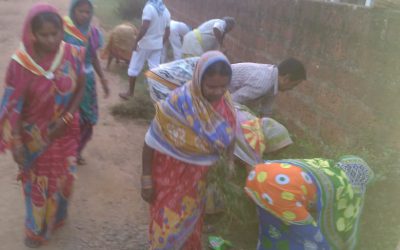 Dhenkanal samithi of Dhenkanal district (Odisha) does Seva