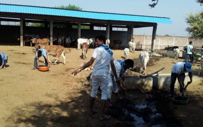 *NAGDA samithi of *RATLAM district (Madhya Pradesh) does Seva