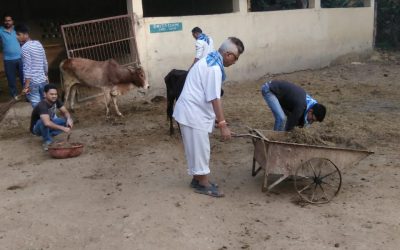 *PIPARIA samithi of *HOSHANGABAD district (Madhya Pradesh) does Seva