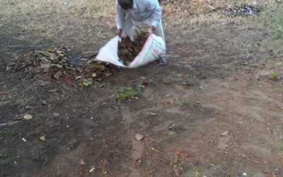 Marshagai samithi of Kendrapara district (Odisha) does Seva