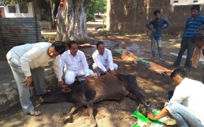 KHAPARKHEDA samithi of *HOSHANGABAD district (Madhya Pradesh) does Seva