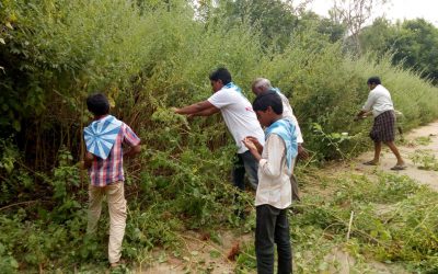 Turpupalem samithi of East Godavari district (Andhra Pradesh) does Seva