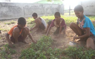 Cheerala samithi of Prakasam district (Andhra Pradesh) does Seva