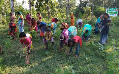 KANKI samithi of *BALAGHAT district (Madhya Pradesh) does Seva