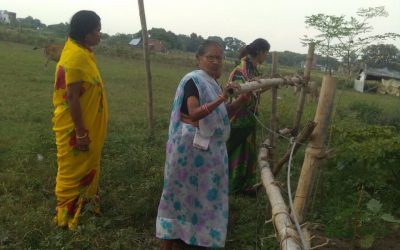 *KOTHI KHOUR samithi of *REWA district (Madhya Pradesh) does Seva