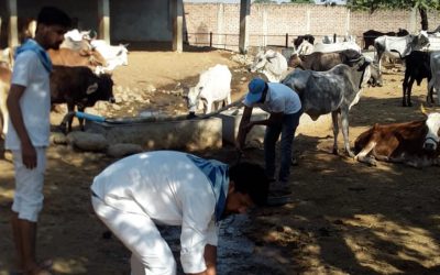 *NAMLI samithi of *RATLAM district (Madhya Pradesh) does Seva