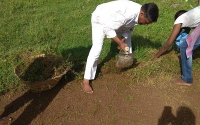 PARVATHY NAGAR samithi of Kanchi South district (Tamilnadu) does Seva