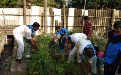 Pedapadu samithi of West Godavari district (Andhra Pradesh) does Seva