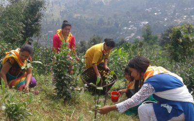 MIRIK samithi of DARJEELING(SOUTH) district (West Bengal) does Seva