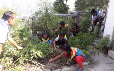 MIRIK samithi of DARJEELING(SOUTH) district (West Bengal) does Seva