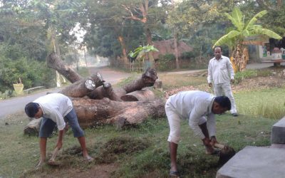 Binayakpur samithi of Bhadrak2 district (Odisha) does Seva