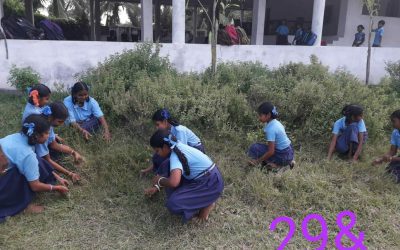 Palakollu samithi of West Godavari district (Andhra Pradesh) does Seva