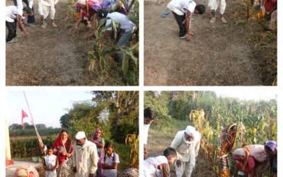 BELGAON samithi of *CHHINDWARA district (Madhya Pradesh) does Seva
