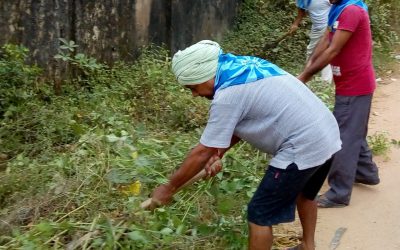 Maniabandha samithi of Cuttack district (Odisha) does Seva