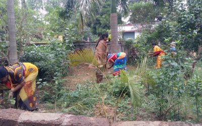 Angul samithi of Angul district (Odisha) does Seva