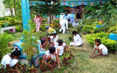 Bhadrak samithi of Bhadrak1 district (Odisha) does Seva