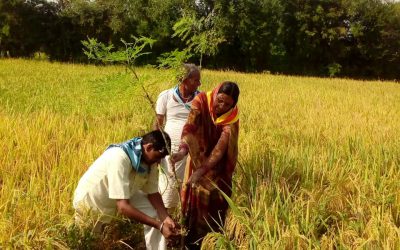 PACHPIPALIYA samithi of *BHOPAL district (Madhya Pradesh) does Seva