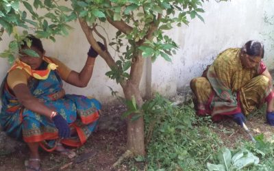 Gajuwaka samithi of Visakhapatnam district (Andhra Pradesh) does Seva