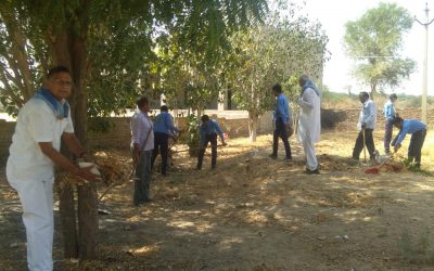 Bikaner Main samithi of Bikaner district (Rajasthan) does Seva