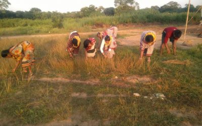Karanjia samithi of Mayurbhanj district (Odisha) does Seva