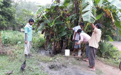 GuruGanj samithi of MIDNAPORE(WEST) district (West Bengal) does Seva