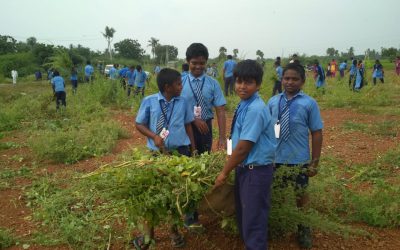 Bheemadolu samithi of West Godavari district (Andhra Pradesh) does Seva