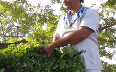 Ambajipeta samithi of East Godavari district (Andhra Pradesh) does Seva