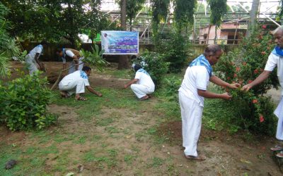 Nayagarh samithi of Nayagarh district (Odisha) does Seva