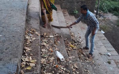 Katargam Fulpada samithi of Surat district (Gujarat) does Seva