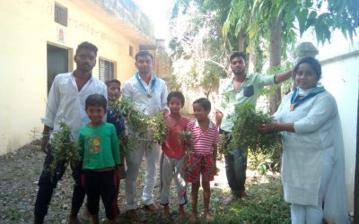 *KOTHI KHOUR samithi of *REWA district (Madhya Pradesh) does Seva