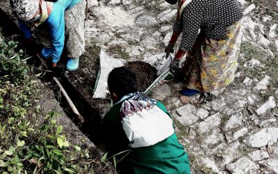 MARGARET’S HOPE samithi of DARJEELING(SOUTH) district (West Bengal) does Seva