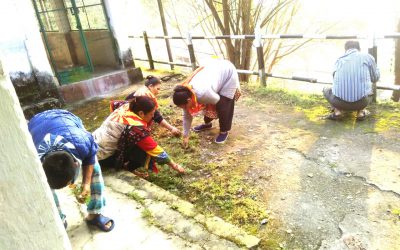 TINDHARIA samithi of DARJEELING(SOUTH) district (West Bengal) does Seva