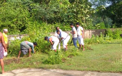 Itamati samithi of Nayagarh district (Odisha) does Seva