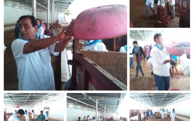 MEGHA SEONI samithi of *CHHINDWARA district (Madhya Pradesh) does Seva