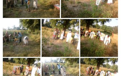 BELGAON samithi of *CHHINDWARA district (Madhya Pradesh) does Seva