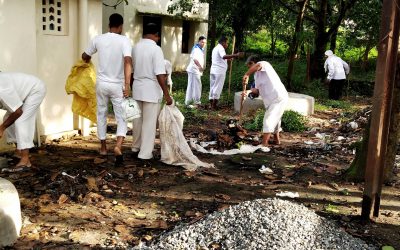 Sai Janani samithi of Bhubaneswar district (Odisha) does Seva