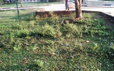 Vuda Colony – VZM samithi of Vizianagaram district (Andhra Pradesh) does Seva