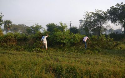Thermal samithi of Angul district (Odisha) does Seva