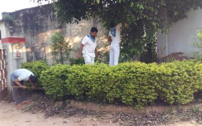 Angul samithi of Angul district (Odisha) does Seva