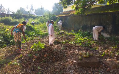 Itamati samithi of Nayagarh district (Odisha) does Seva
