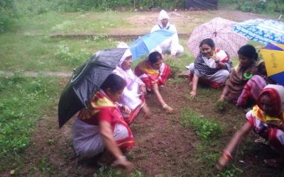 Karanjia samithi of Mayurbhanj district (Odisha) does Seva