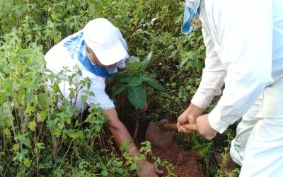 Koliana samithi of Mayurbhanj district (Odisha) does Seva
