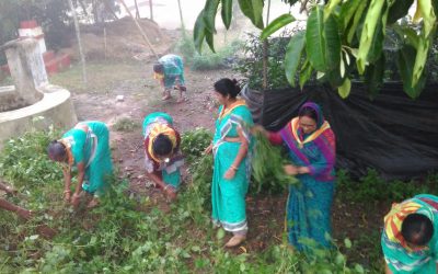 Karanjia samithi of Mayurbhanj district (Odisha) does Seva