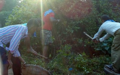 Maniabandha samithi of Cuttack district (Odisha) does Seva