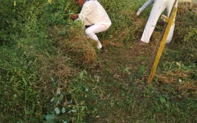 *BHANKHEDI samithi of *HOSHANGABAD district (Madhya Pradesh) does Seva