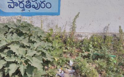 Parvathipuram samithi of Vizianagaram district (Andhra Pradesh) does Seva