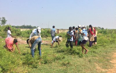 Piridi samithi of Vizianagaram district (Andhra Pradesh) does Seva